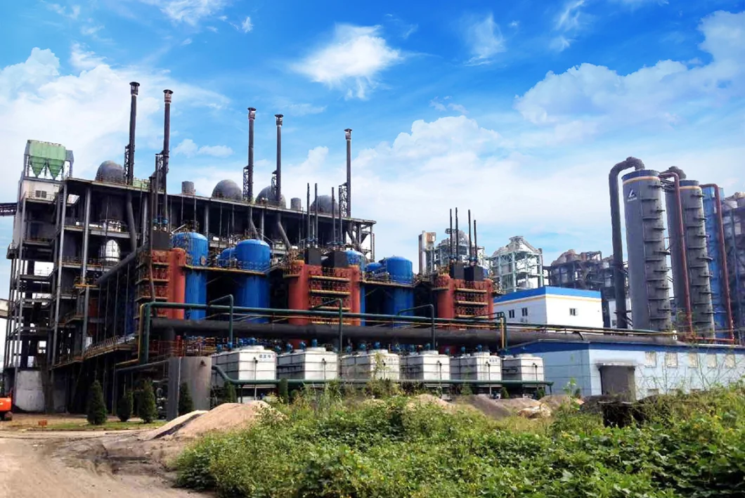 Circulating Fluidized Bed Gasifier 80000nm3/H Made in China