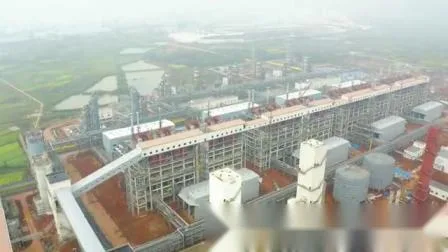 Gasificador de leito fluidizado circulante 80000nm3/H fabricado na China